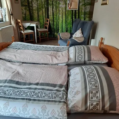 Ilkas